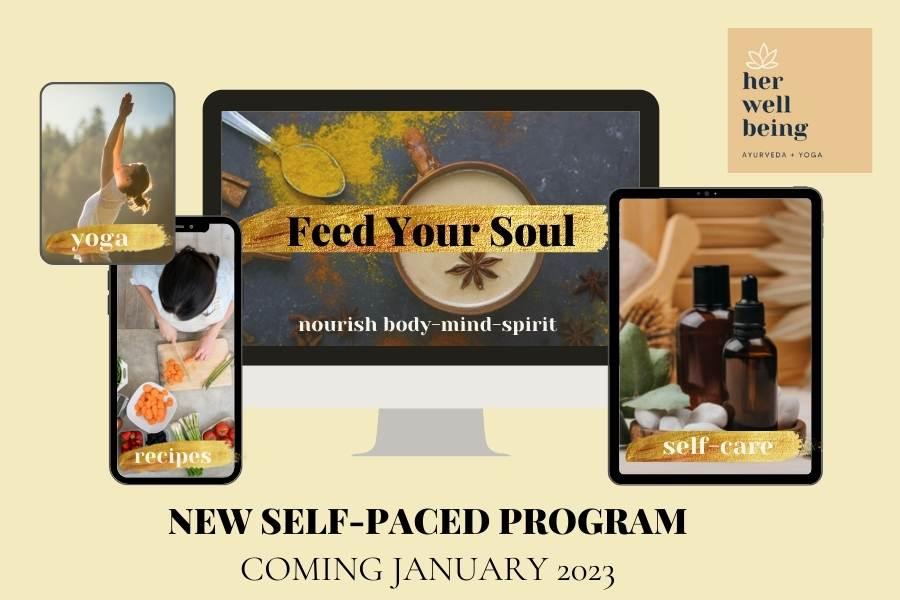 Feed Your Soul Ayurveda Program